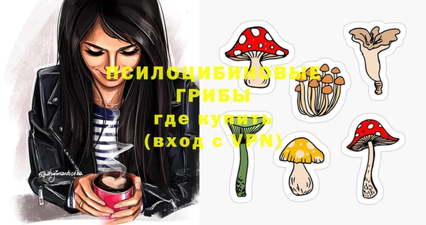 марки lsd Белокуриха