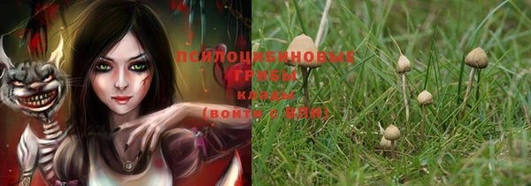 марки lsd Белокуриха