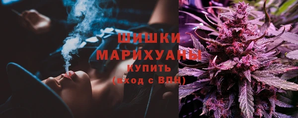дурь Данков