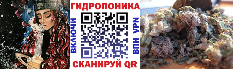 наркошоп  Няндома  Марихуана тримм 